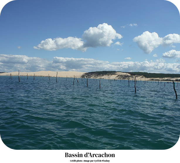 Bassin d'Arcachon