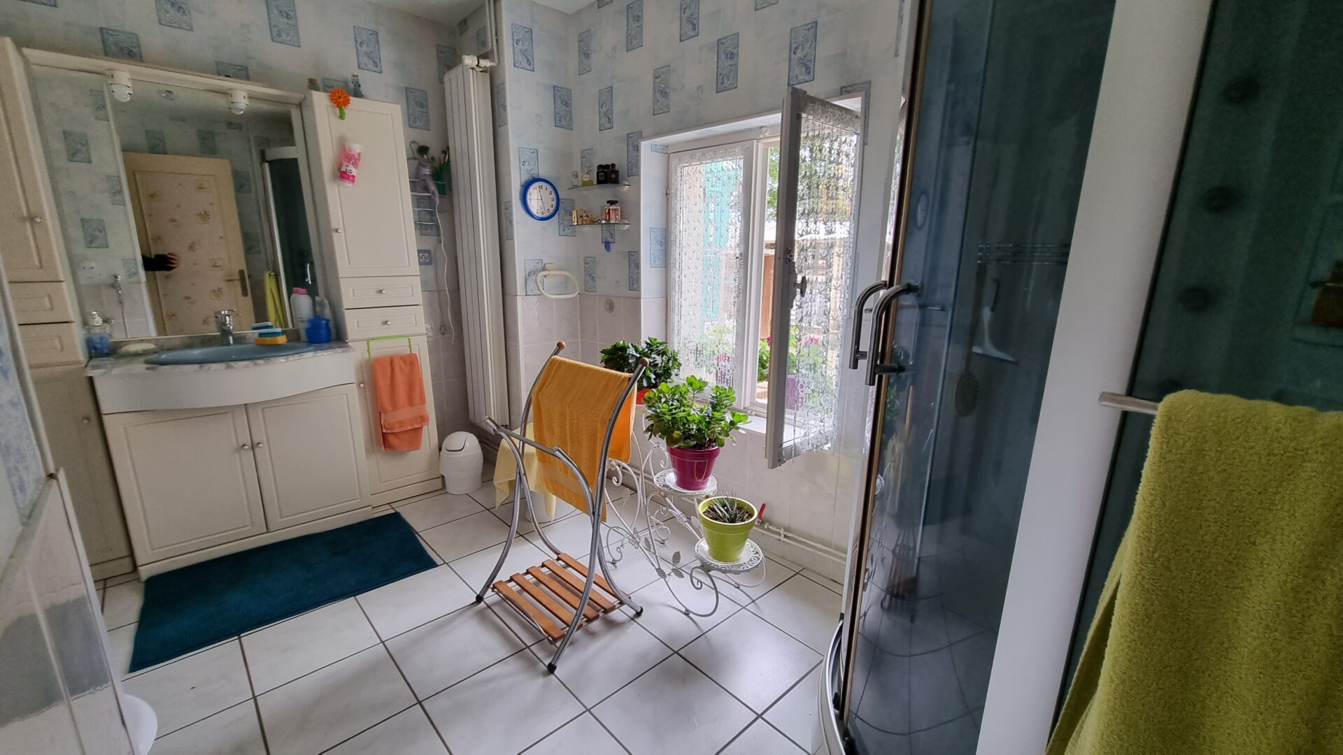 salle d eau Maison Viager occupé Ygrande 03160