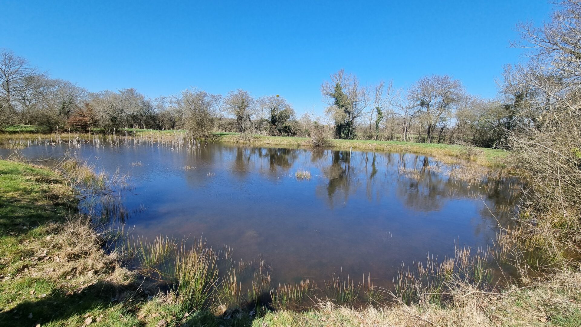 etang Maison Viager occupé Lurcy Levis