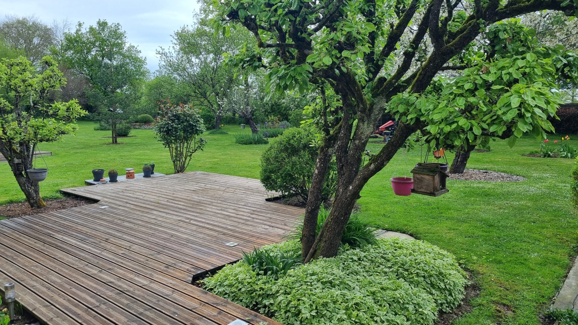 jardin Maison Viager occupé Lurcy Levis