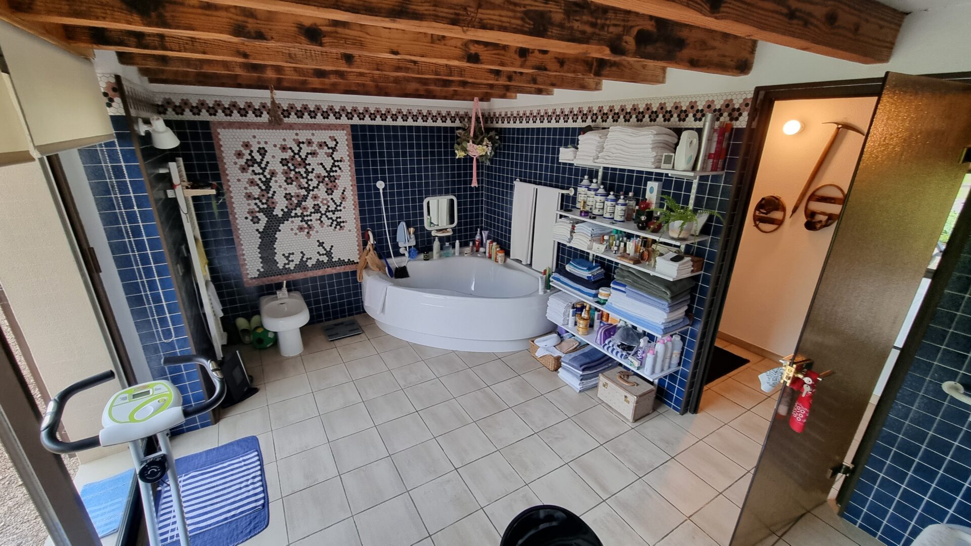 salle de bains Maison Viager occupé Lurcy Levis