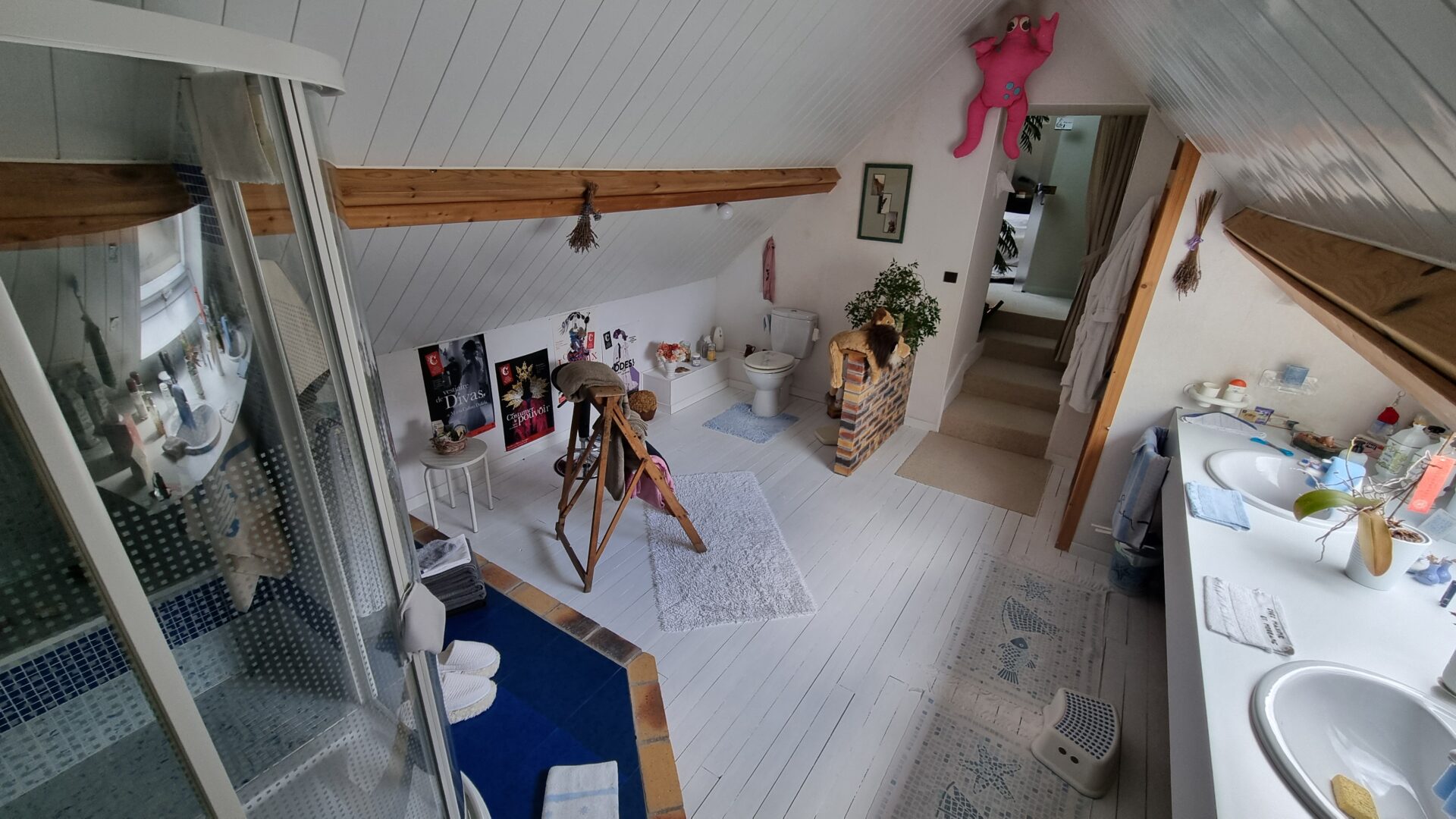 salle d'eau Maison Viager occupé Lurcy Levis