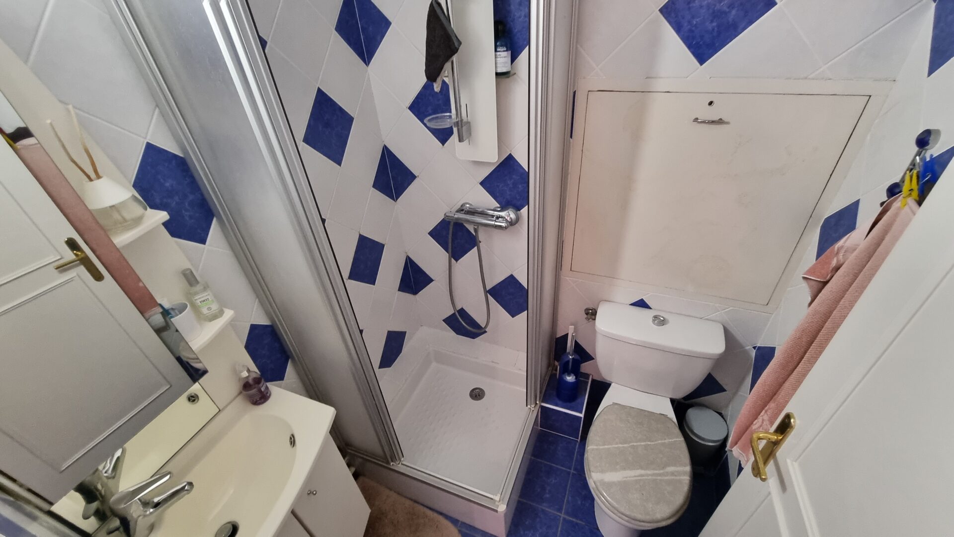salle d'eau avec W.C appartement viager occupé Roanne La Chapelle