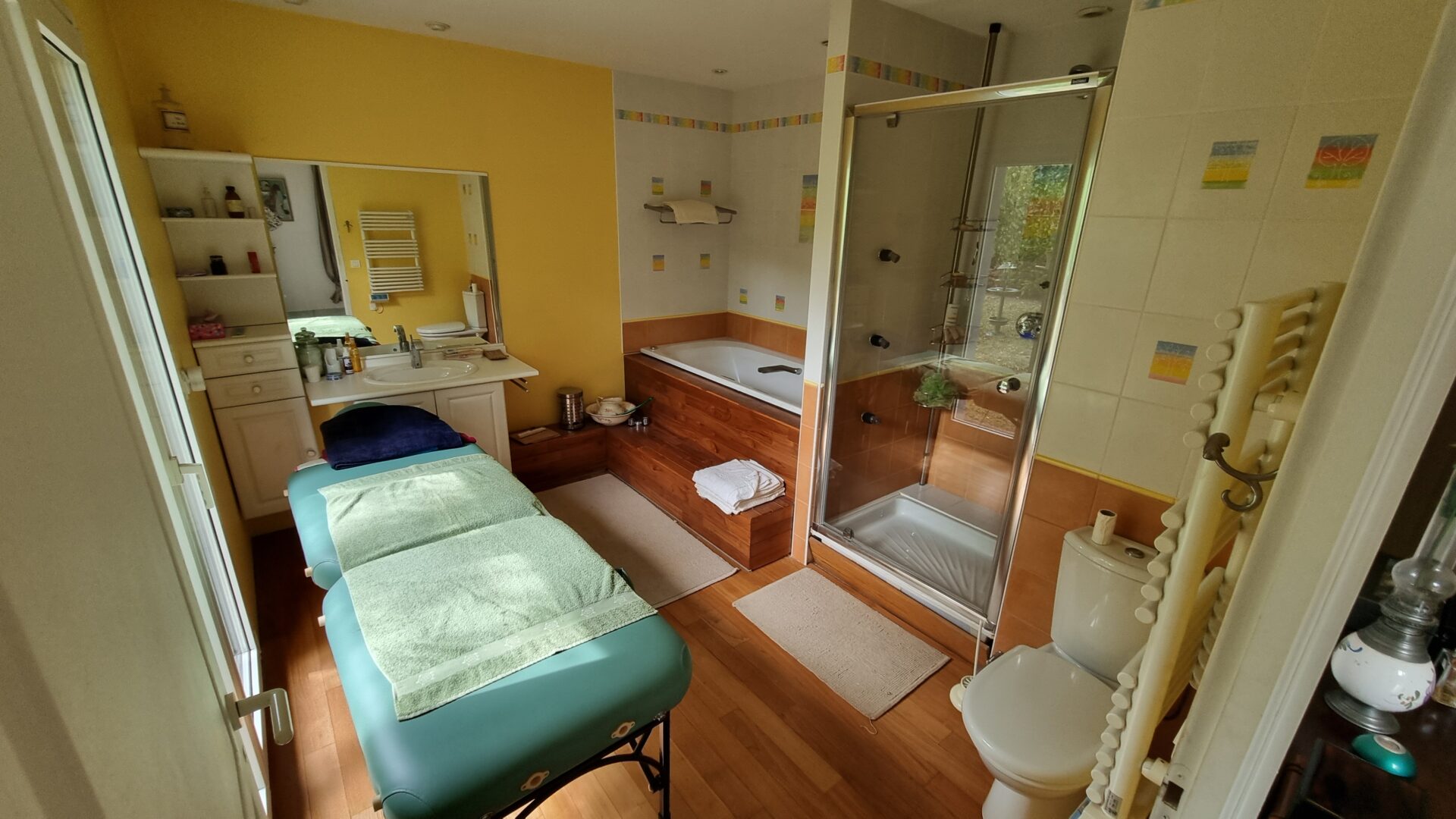 salle de bains douche Maison viager occupé Perignat