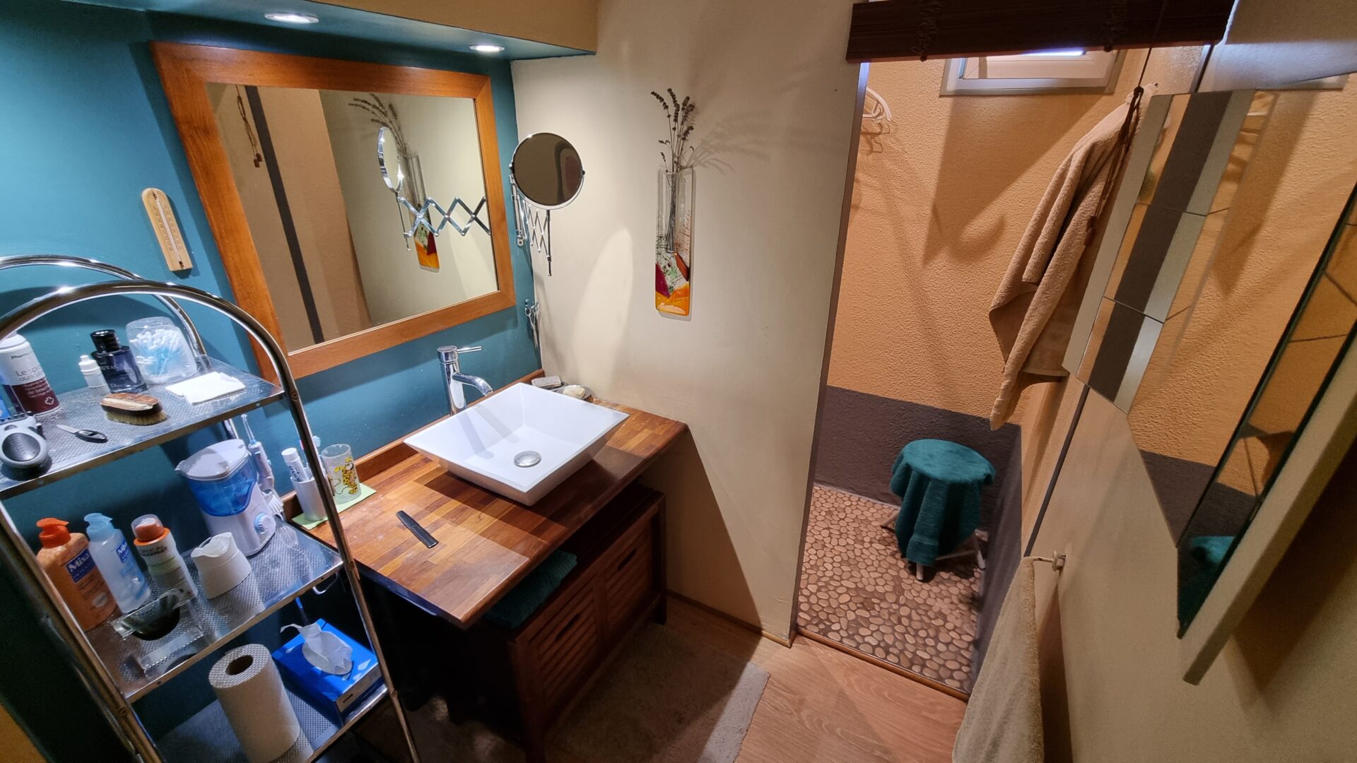 salle d'eau Maison viager occupé Verneugheol
