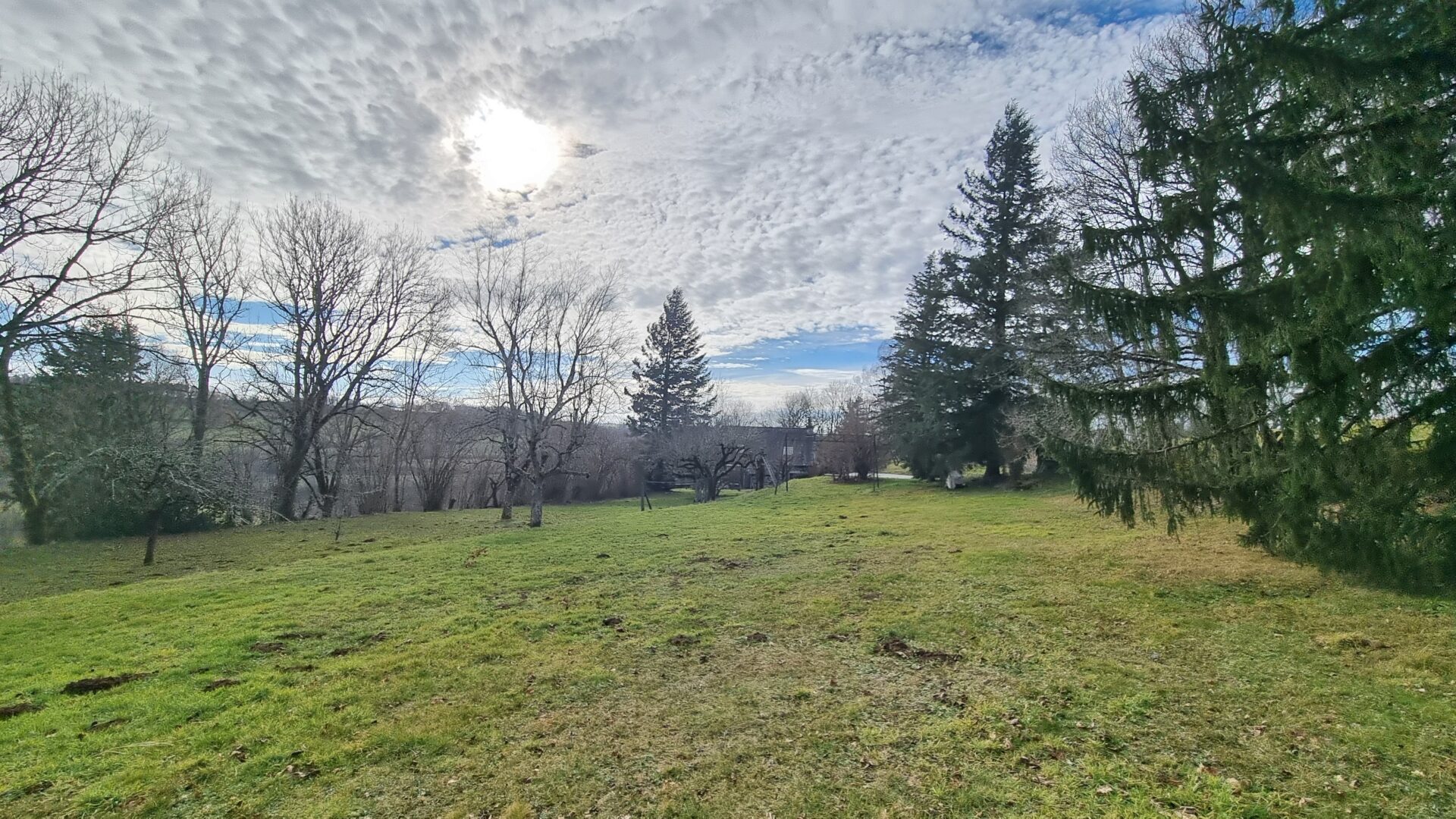 Terrain Maison viager occupé Salins 15200