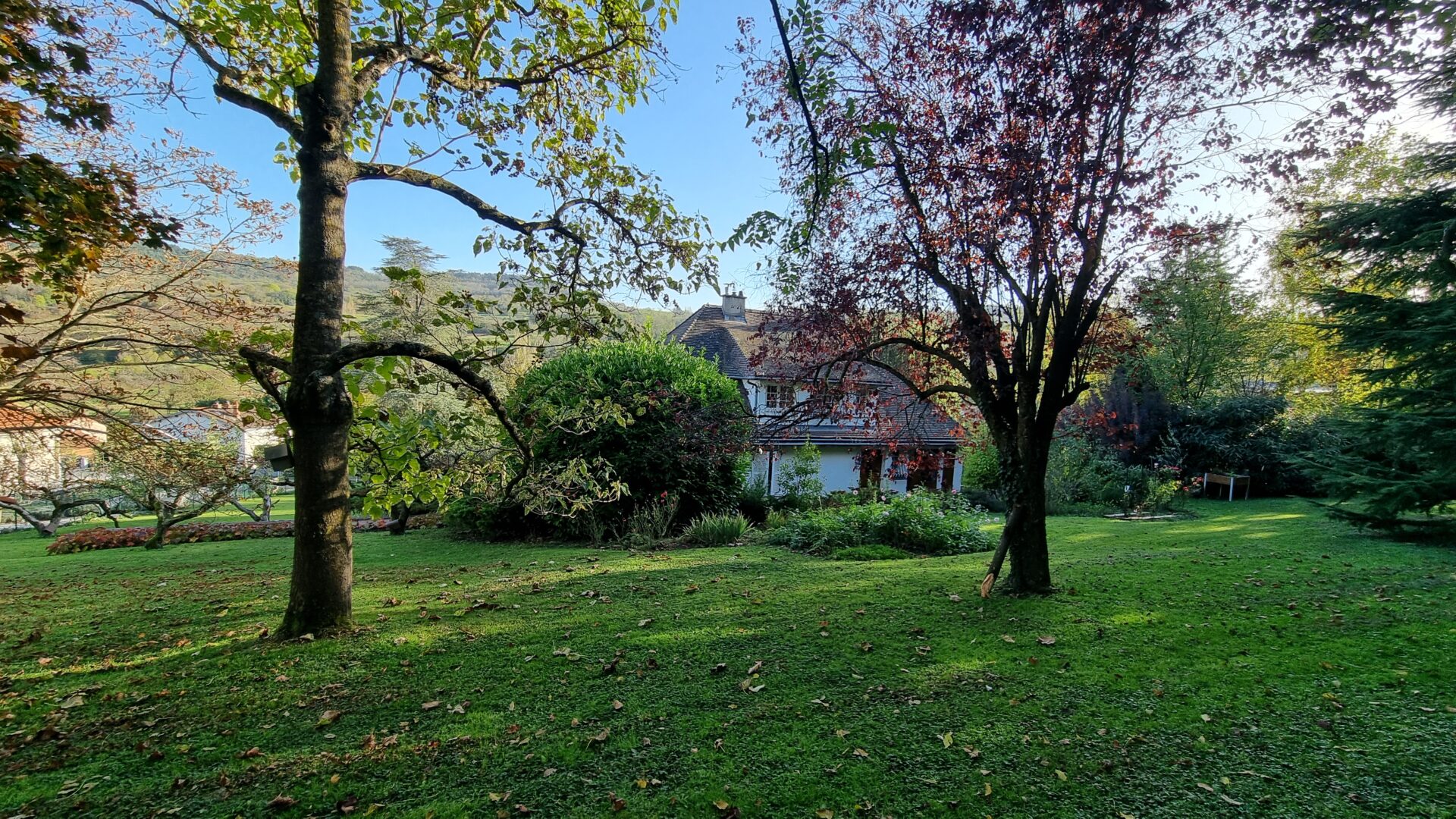 arriere de la maison terrain Maison viager occupé Romagnat 63540
