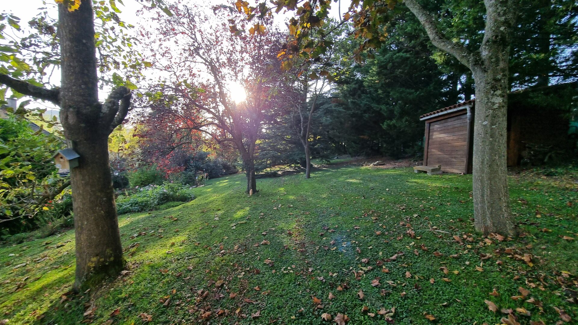 terrain arriere Maison viager occupé Romagnat 63540