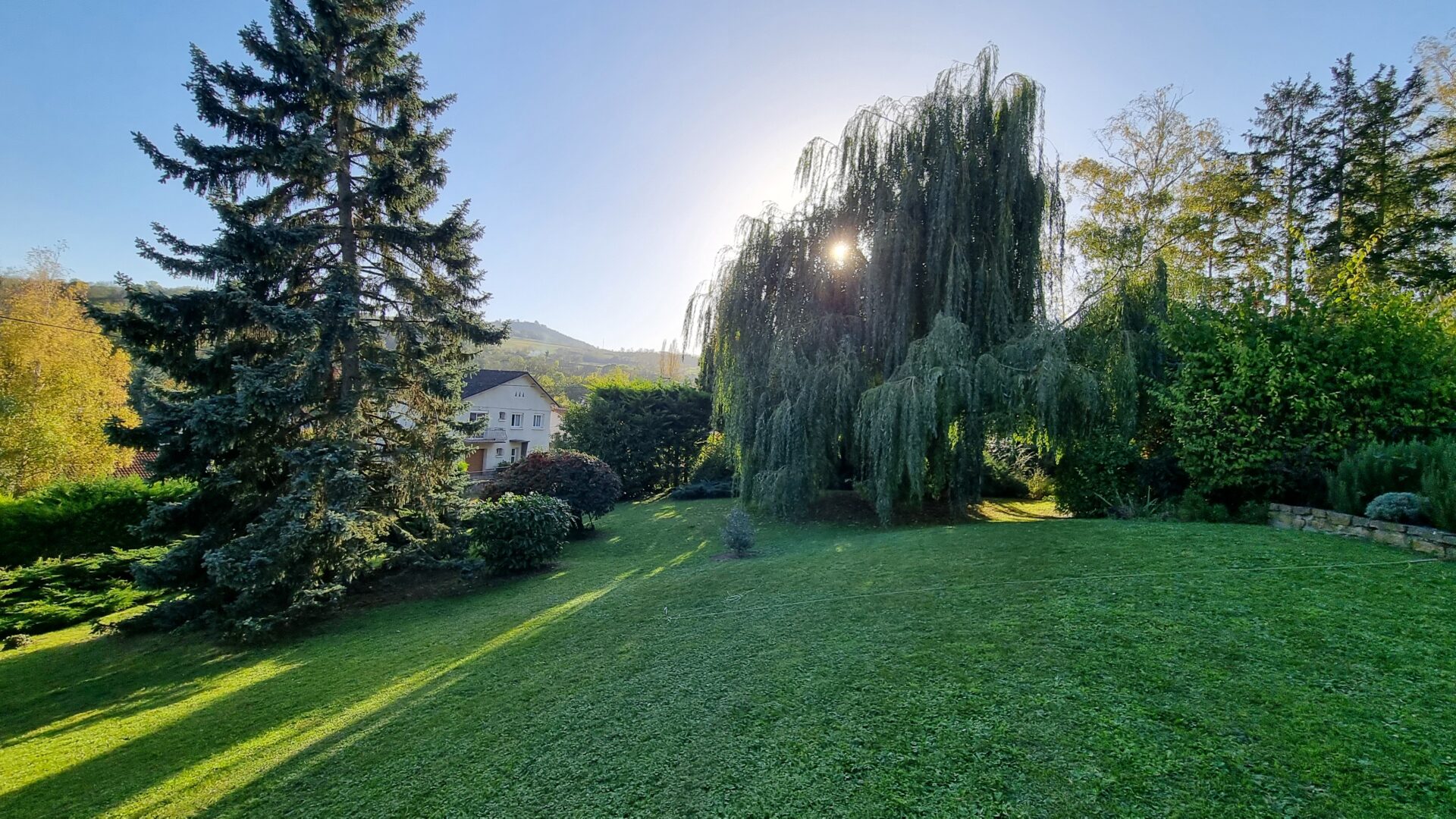 terrain de devant Maison viager occupé Romagnat 63540