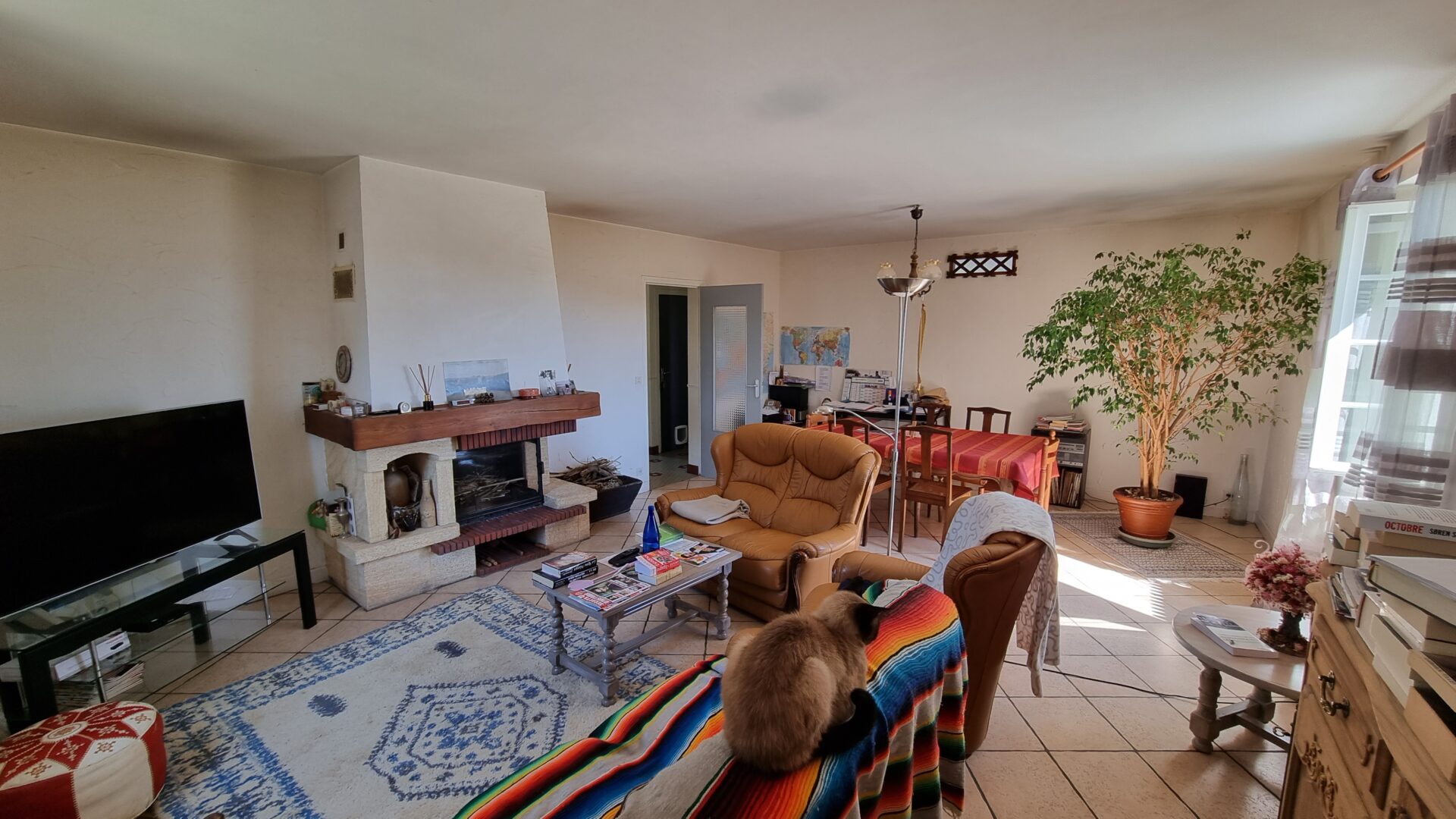 salon Maison viager occupé Prudhomat 46130