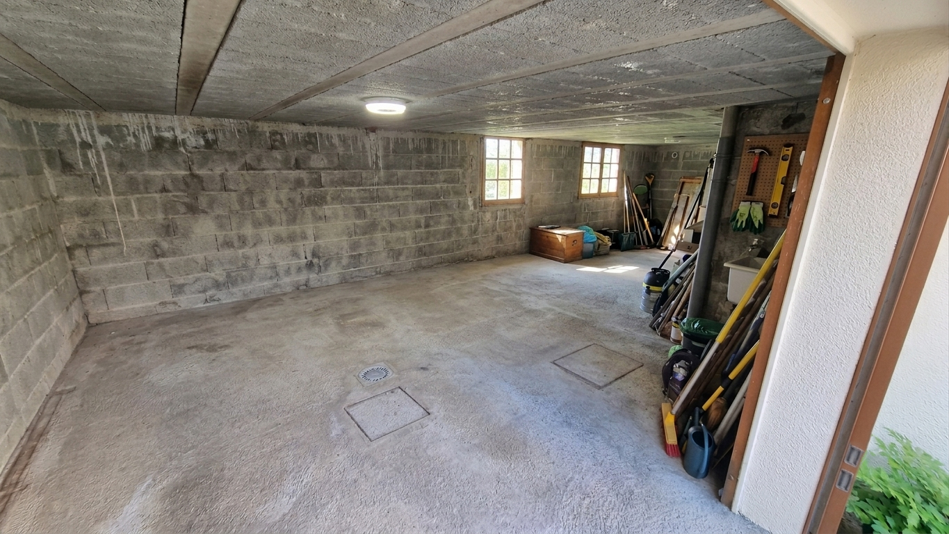 Garage Maison Viager occupé Raulhac 15800