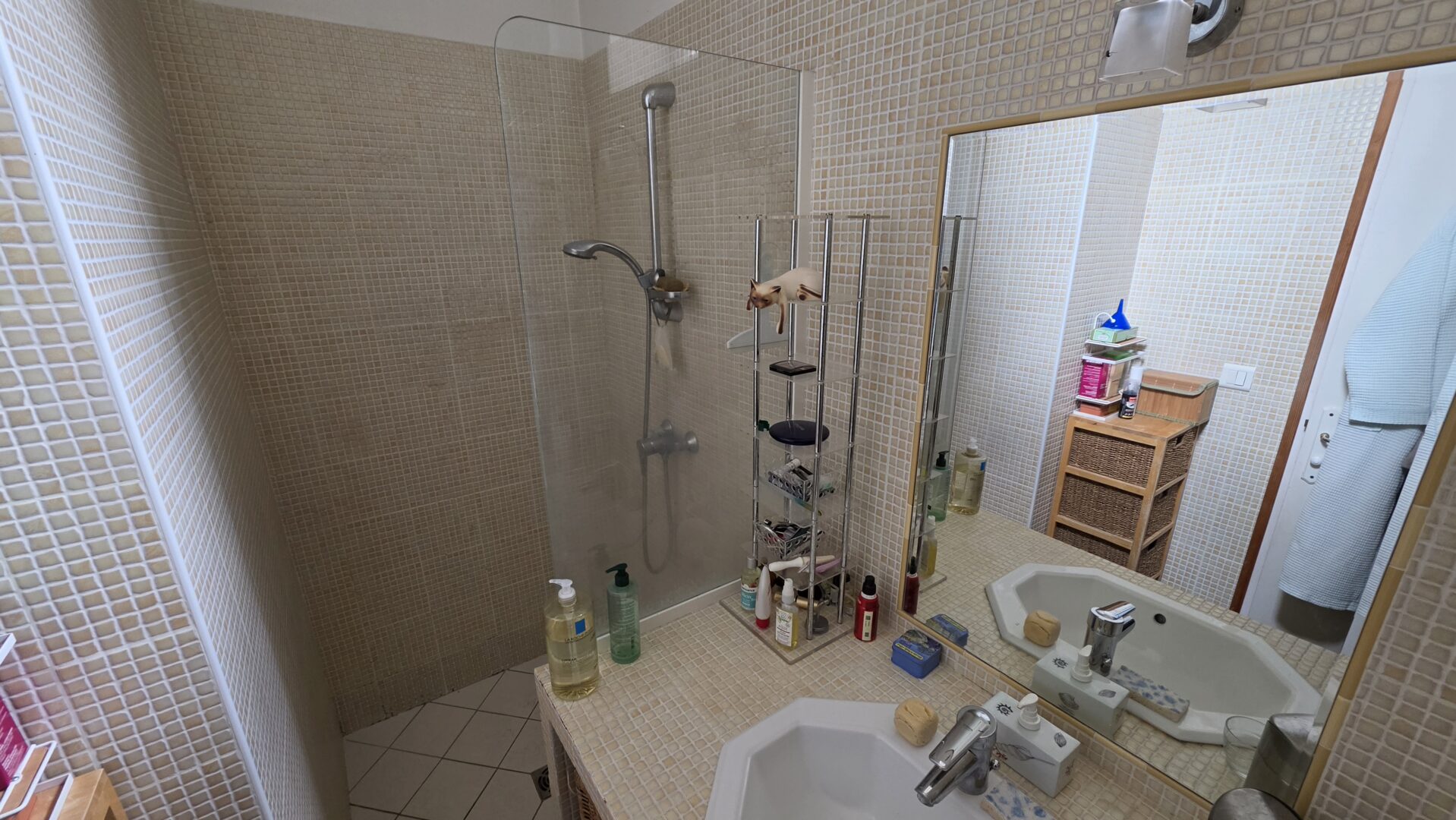 salle d'eau Saint leopardin d augy 03160