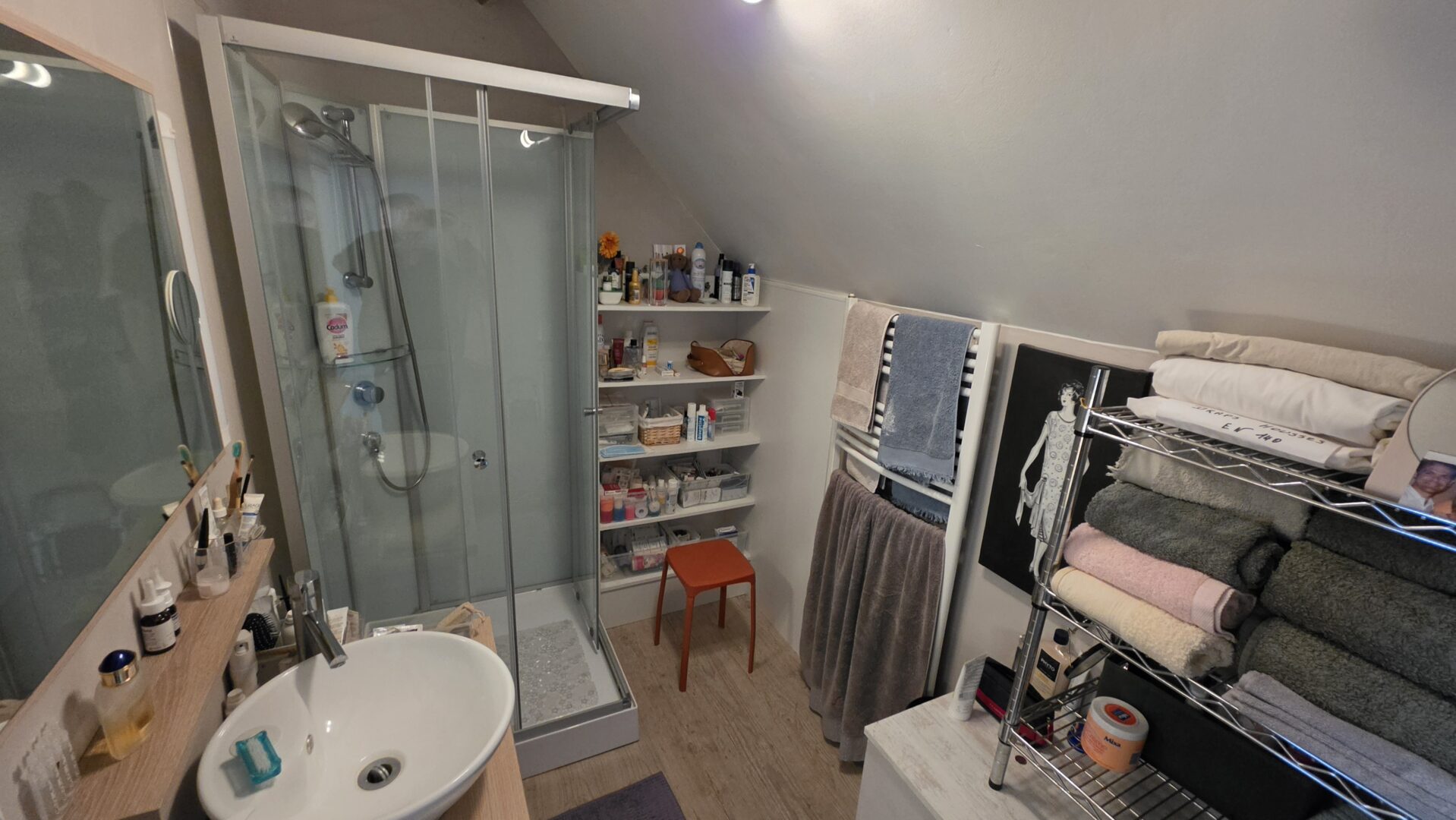 salle d'eau maison viager occupé 03390 Murat