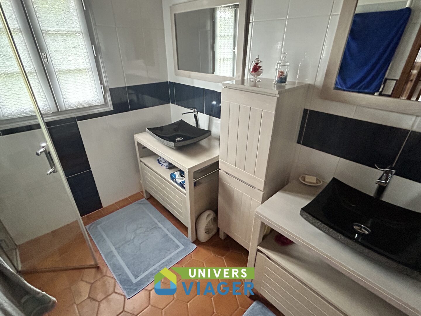 maison Charente -Maritime Gemozac vente univers-viager