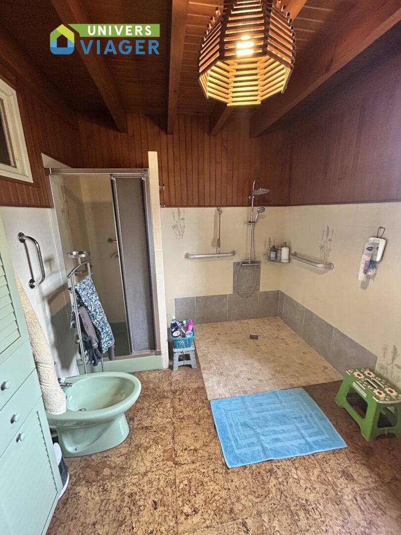 vente à terme libre-charpente-maritime-bordeaux-propriété-grande maison-4 chambres- grand garage- st martin de Coux