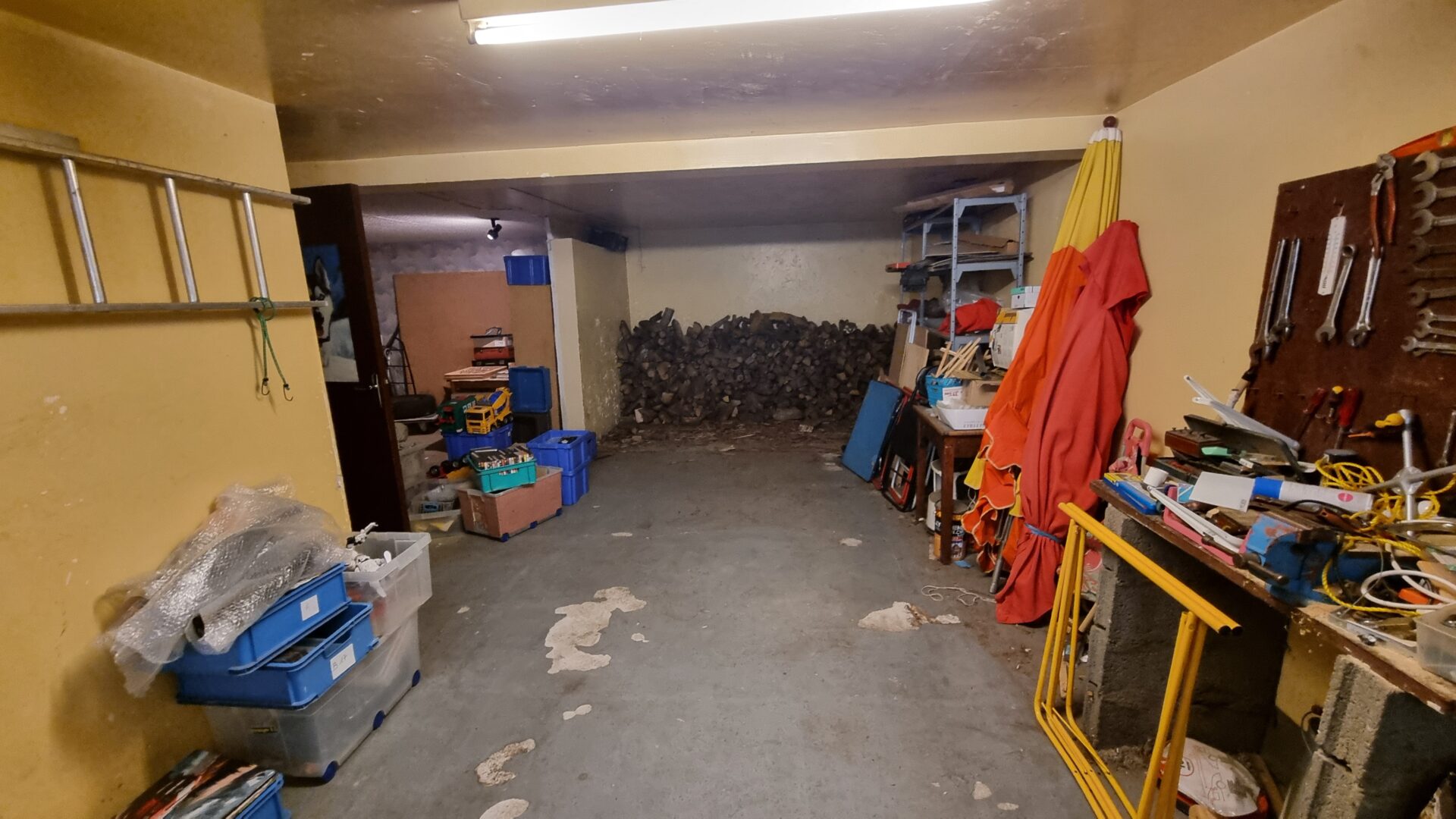 garage Maison viager occupé Roanne 42300