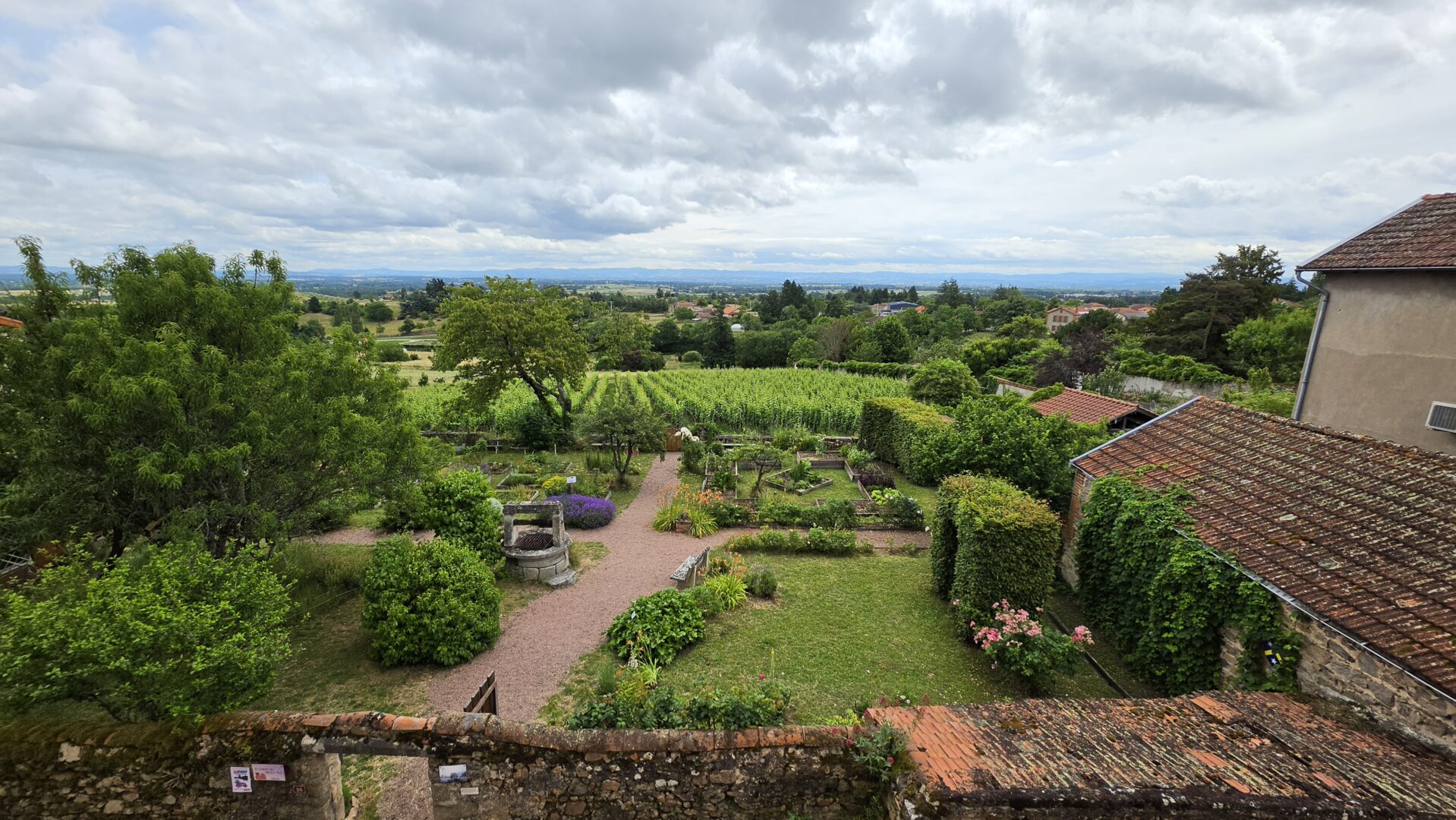 vue jardin Maison viager occupé Saint haon le chatel 42370